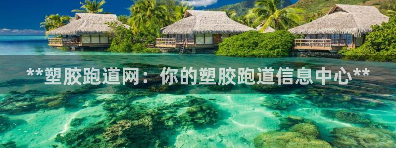 红足1一世 2站：**塑胶跑道网：你的塑胶跑道信息中心**