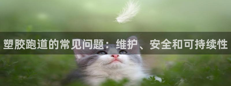 4633333开奖结果4176一点红：塑胶跑道的常见问题：维护、安全和可持续性
