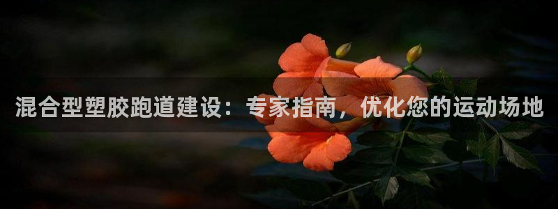 红世一足球比分：混合型塑胶跑道建设：专家指南，优化您的运动场地
