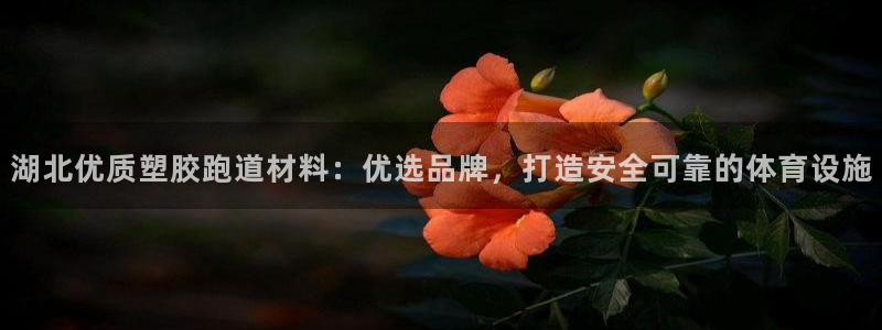 红足一1世手机皇冠