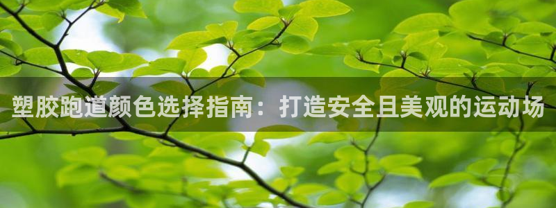 红足一1世皇冠地址：塑胶跑道颜色选择指南：打造安全且美观的运动场