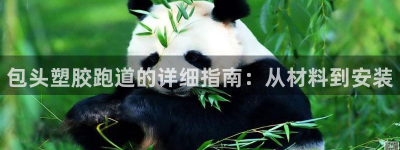 红足一1世官网：包头塑胶跑道的详细指南：从材料到安装