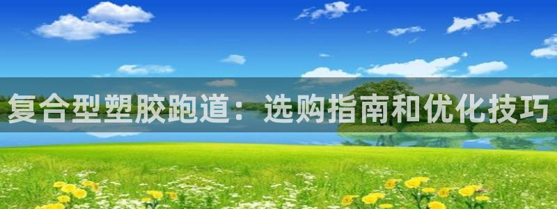 红足1世足球：复合型塑胶跑道：选购指南和优化技巧