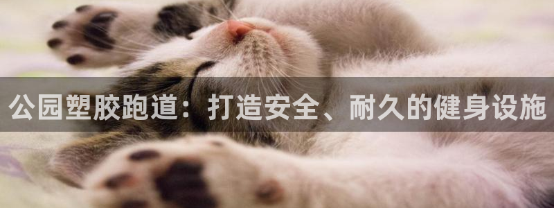 红世一足球比分：公园塑胶跑道：打造安全、耐久的健身设施