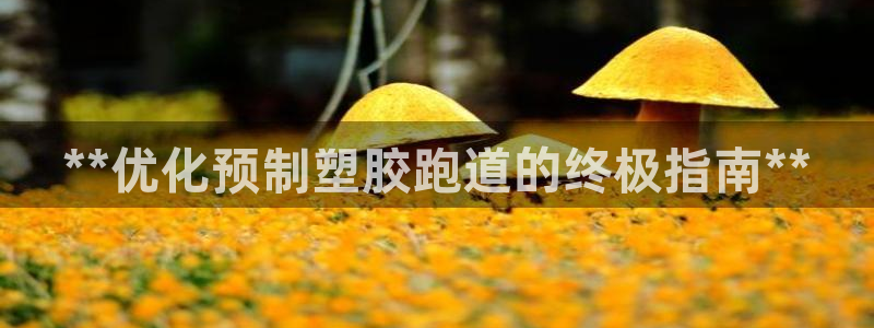 红足1世足球比分 localhost：**优化预制塑胶跑道的终极指南**