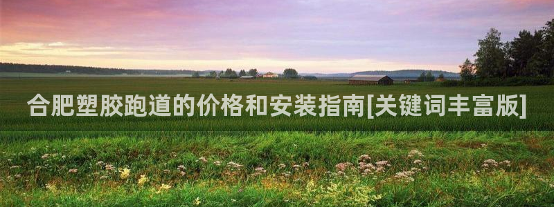 44814红足：合肥塑胶跑道的价格和安装指南[关键词丰富版]