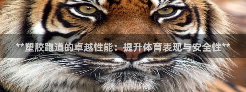 红足1世手机板：**塑胶跑道的卓越性能：提升体育表现与安全性**