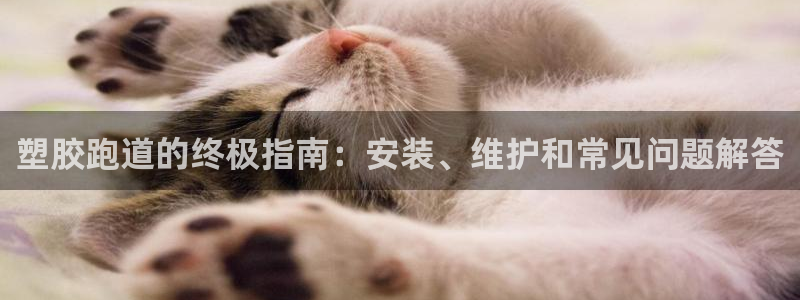 55814红足1世：塑胶跑道的终极指南：安装、维护和常见问题解答