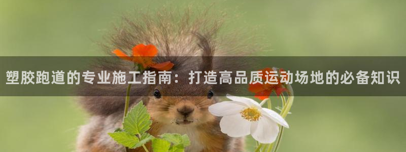 红足一1世官网：塑胶跑道的专业施工指南：打造高品质运动场地的必备知识