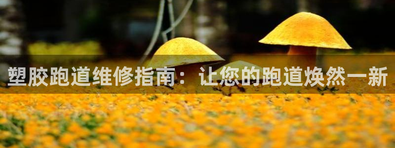 红足一1世即时比分：塑胶跑道维修指南：让您的跑道焕然一新