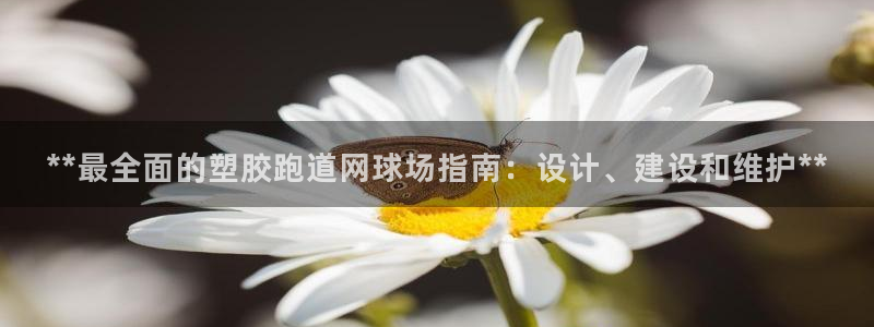 红足一1世比分：**最全面的塑胶跑道网球场指南：设计、建设和维护**