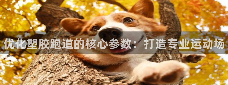 红足1一世足球手机：优化塑胶跑道的核心参数：打造专业运动场