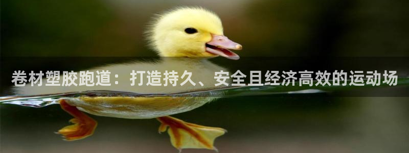 百度红足一1视频在线观看：卷材塑胶跑道：打造持久、安全且经济高效的运动场