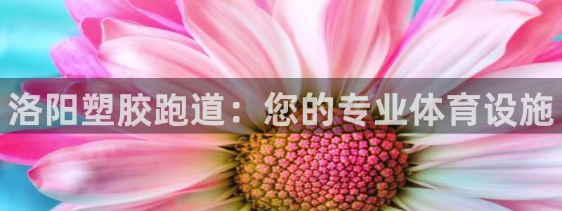 红足一1世77814：洛阳塑胶跑道：您的专业体育设施