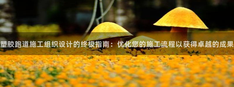 红足一1世666814足球比分网：塑胶跑道施工组织设计的终极指南：优化您的施工流程以获得卓越的成果