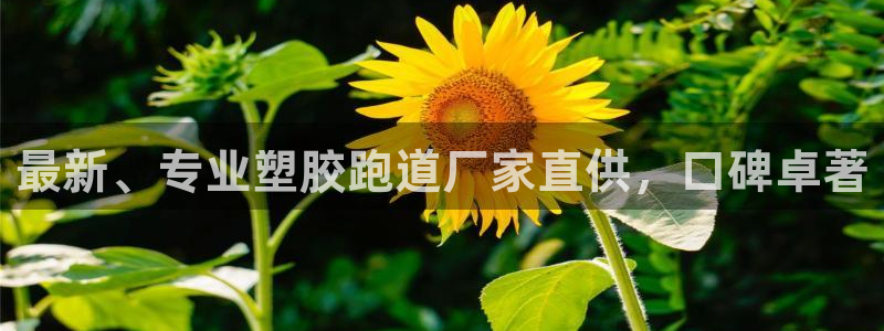 红足一1世开奖记录：最新、专业塑胶跑道厂家直供，口碑卓著