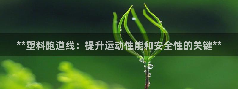红足1世手机版下载：**塑料跑道线：提升运动性能和安全性的关键**