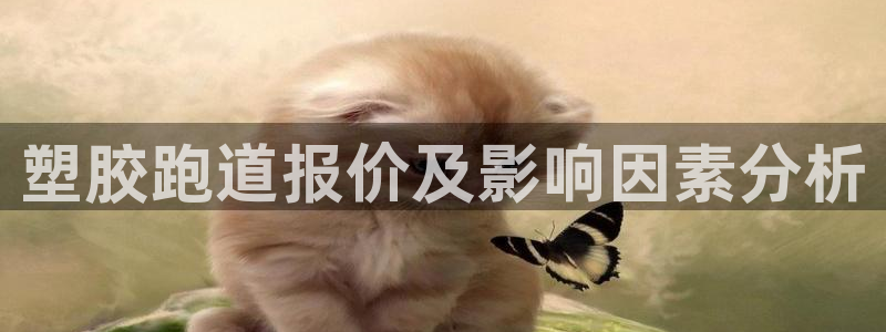 红足1世足球比分：塑胶跑道报价及影响因素分析
