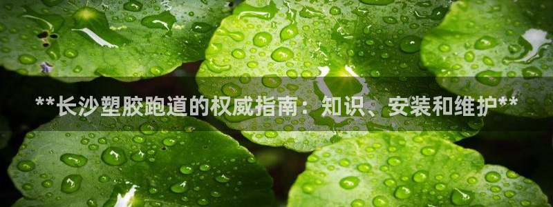 红姐现场直播开奖记录：**长沙塑胶跑道的权威指南：知识、安装和维护**