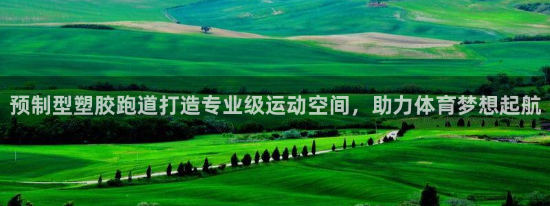 红足一1世比分球探：预制型塑胶跑道打造专业级运动空间，助力体育梦想起航