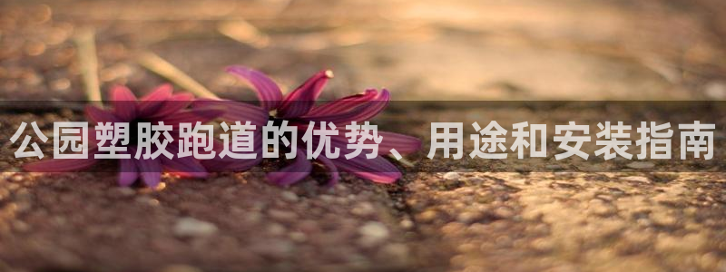 红足1世手机下载：公园塑胶跑道的优势、用途和安装指南