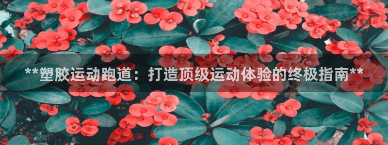 红足一1世：**塑胶运动跑道：打造顶级运动体验的终极指南**