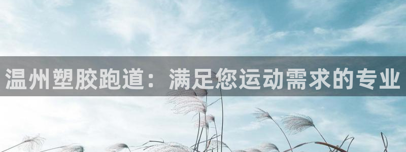 红足1世足球比分网址：温州塑胶跑道：满足您运动需求的专业