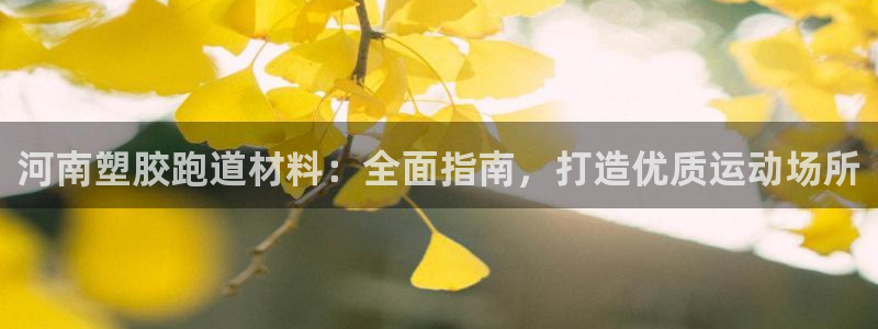 红足1一世 2站：河南塑胶跑道材料：全面指南，打造优质运动场所