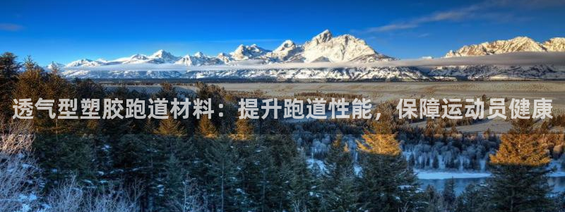 红足一1世666814足球比分网：透气型塑胶跑道材料：提升跑道性能，保障运动员健康