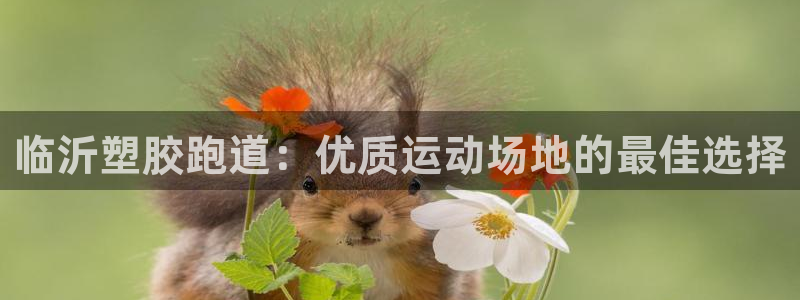 66814红足一66814世
