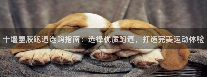 红足1一世开奖版