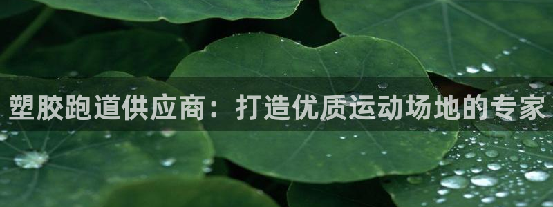 红足一1世比分