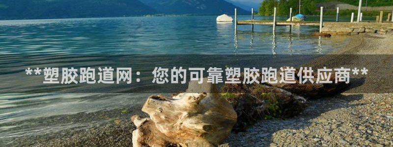 百度红足一1是干什么的