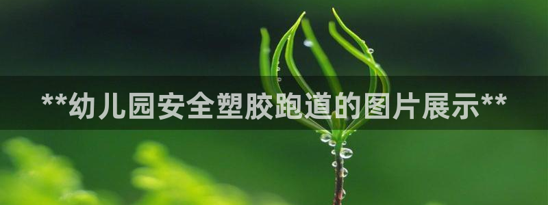 红足一丰