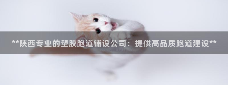 百度红足一1世
