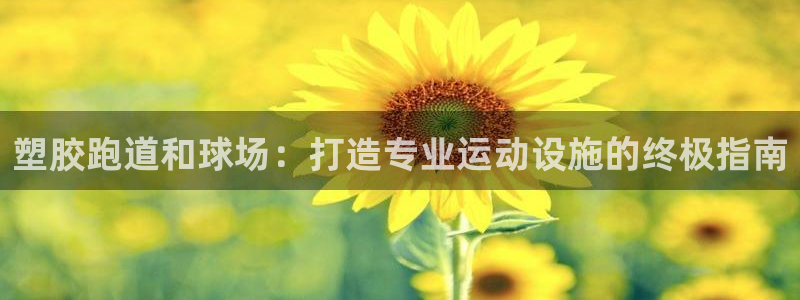 红姐现场直播开奖记录