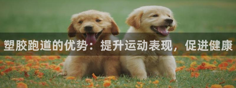 红足1一世足球手机