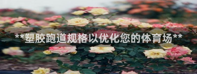 百度红足一1是干什么的