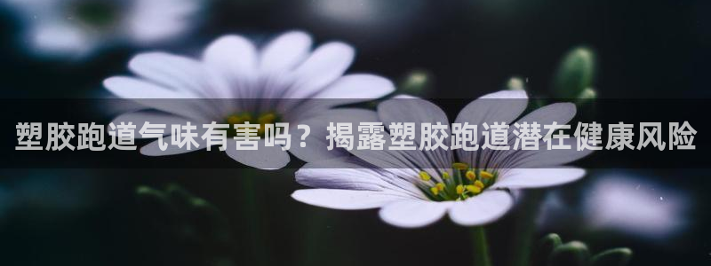红足一1世比分