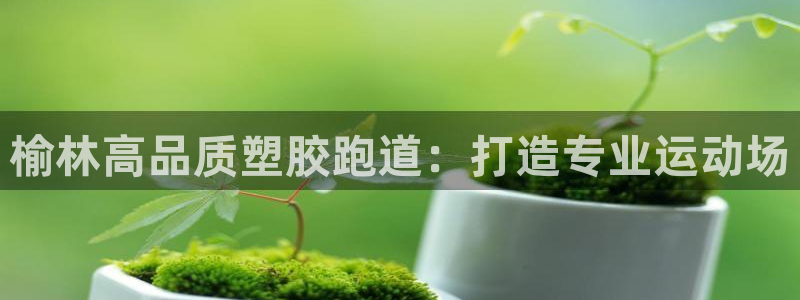 4633333开奖结果4176一点红