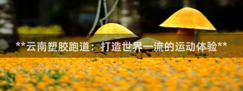 百度红足一1是干什么的