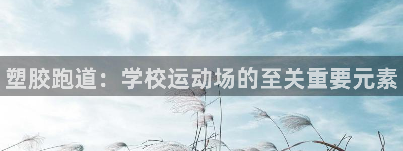红足一1世666814足球比分网