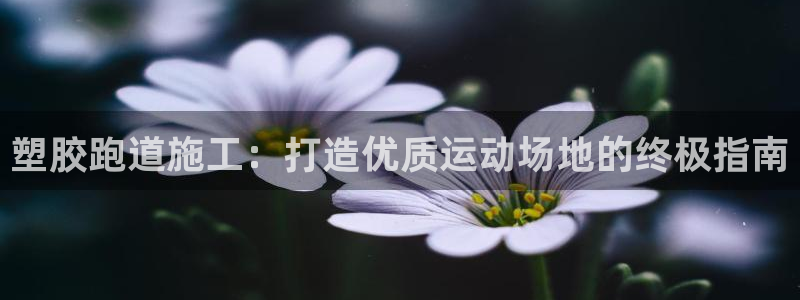 红足一1世比分网