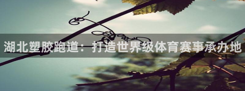 红足 世足球手机网