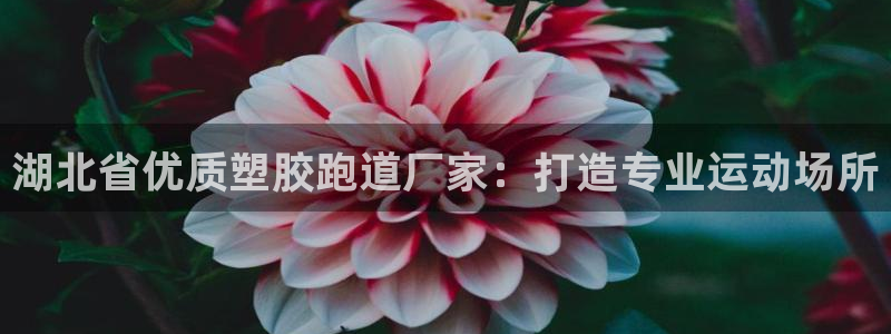 红足一丰