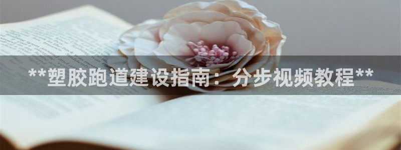 红足一1世666814足球：**塑胶跑道建设指南：分步视频教程**