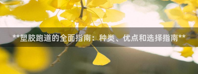 红足1世开奖预测：**塑胶跑道的全面指南：种类、优点和选择指南**