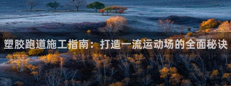 66814红足一66814世：塑胶跑道施工指南：打造一流运动场的全面秘诀