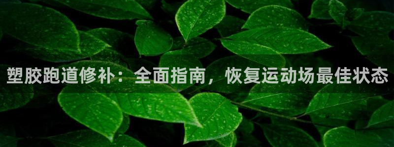 红足一1世皇冠：塑胶跑道修补：全面指南，恢复运动场最佳状态