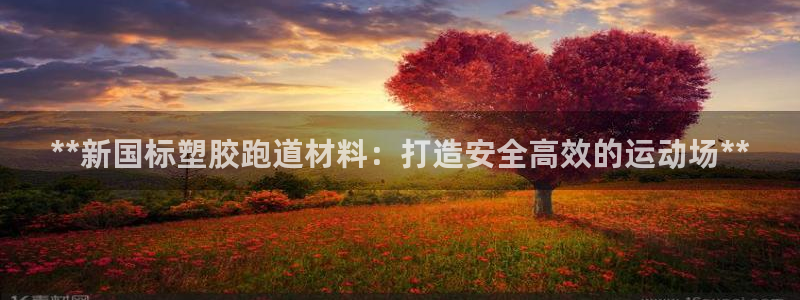 红足一1世手机版赛果：**新国标塑胶跑道材料：打造安全高效的运动场**